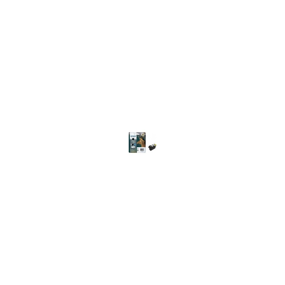 CARTUCCIA EPSON T1301 NERO 25,4ML C13T13014012