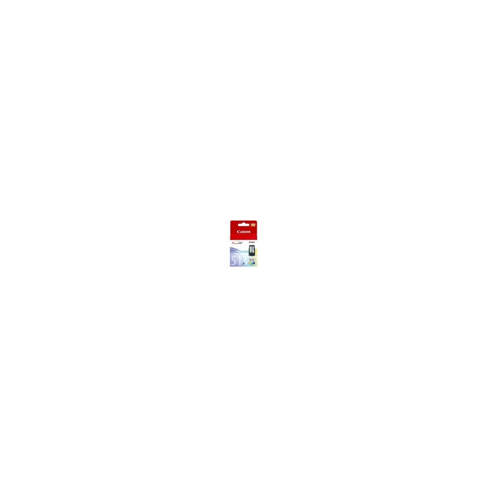 CARTUCCIA CANON CL 513 COLORE ORIGINALE 2971B001